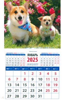 Календарь на магните на 2025 год Забавные корги Календарь на магните на 2025 год Забавные корги