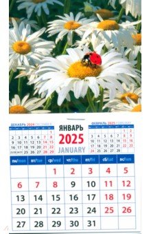 Календарь на магните на 2025 год Божья коровка на ромашке Календарь на магните на 2025 год Божья коровка на ромашке