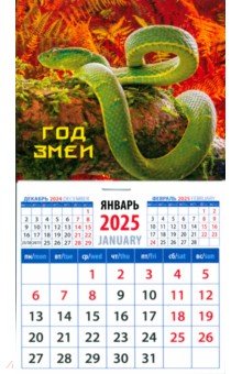 Календарь на магните на 2025 год Год змеи Календарь на магните на 2025 год Год змеи