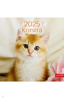Календарь перекидной на 2025 год Котята Календарь перекидной на 2025 год Котята