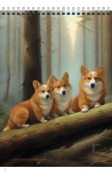 ������� ���� � �������� ����, 60 ������, �5, ������