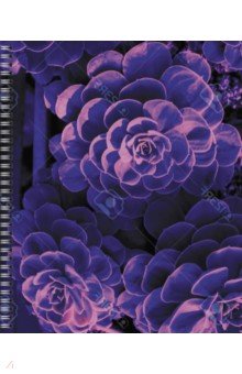 Тетрадь Violet Mix, 96 листов, клетка, в ассортименте Тетрадь Violet Mix, 96 листов, клетка, в ассортименте