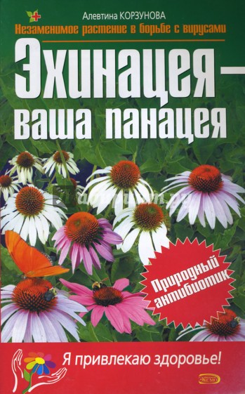 Эхинацея - ваша панацея
