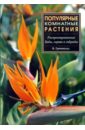 Популярные комнатные растения: распространенные виды, сорта и гибриды