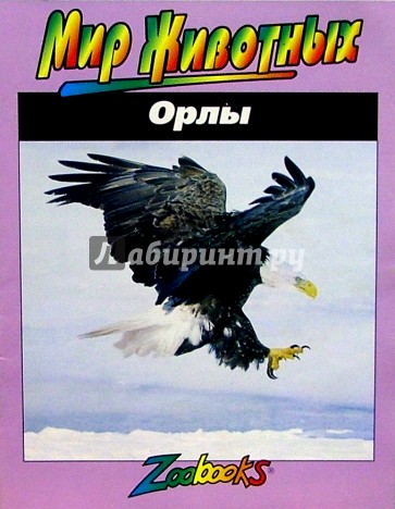 Орлы