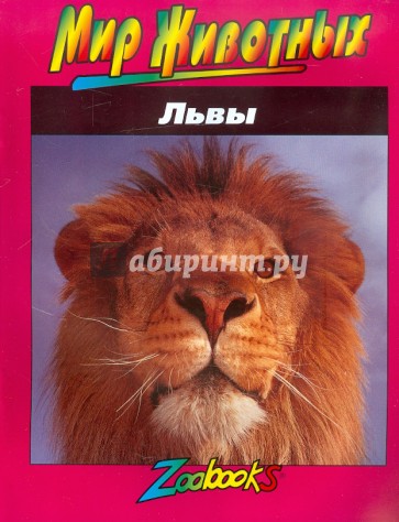 Львы