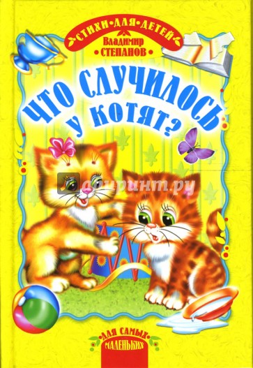 Что случилось у котят?