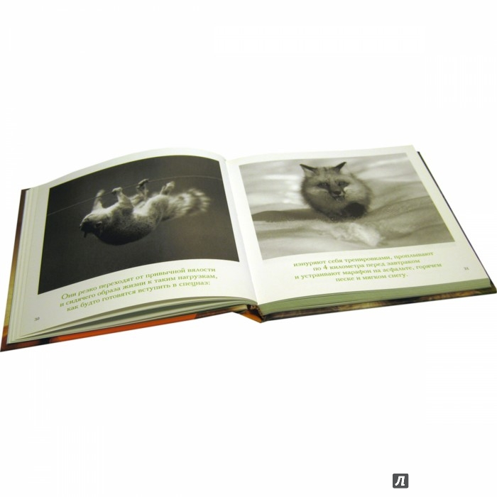 книга маргариты королевой похудеть навсегда читать онлайн книга маргариты королевой похудеть навсегда читать онлайн