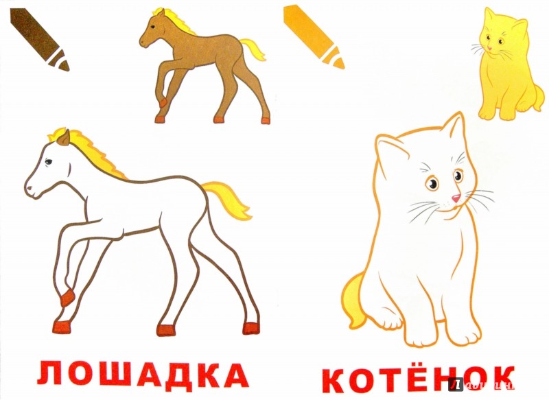 Статусы с сарказмом Статусы про жизнь - Статусы, цитаты, афоризмы. Только лучшее!