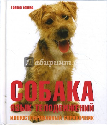 Собака: язык телодвижений