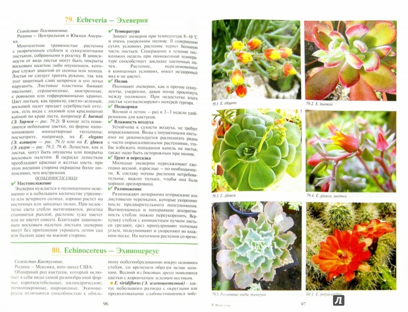 Огород на Подоконнике книги