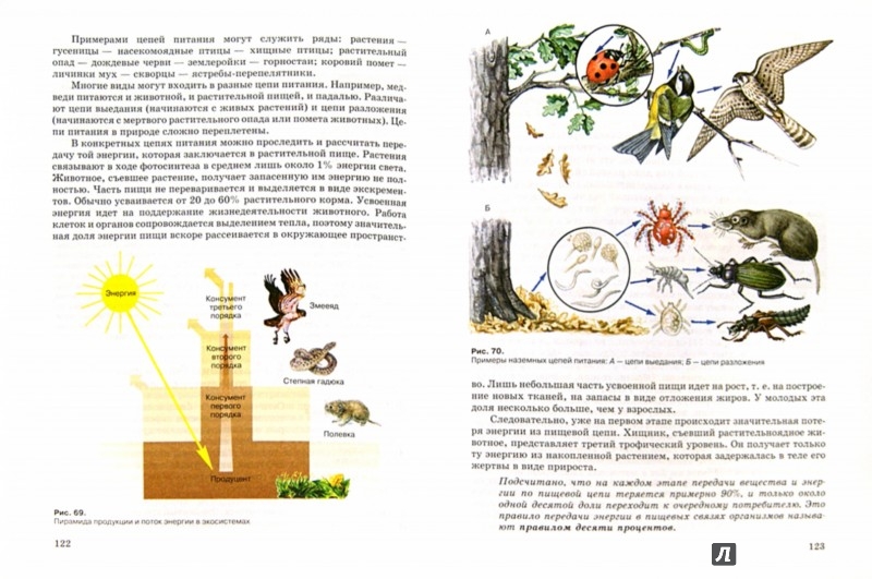 Учебник Экология Москвы 10 Класс