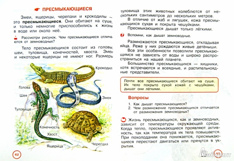 Рабочая Программа По Географии 5 Класс По Домогацких По Фгос ...