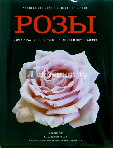 Розы: Сорта и разновидности в описаниях и фотографиях