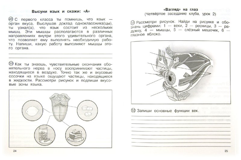 Blog Posts - naturalholywrit