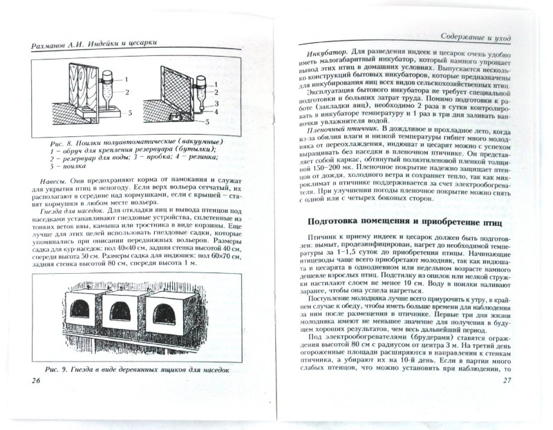 Книги Индейки и цесарки. Содержание и разведение - Александр Рахманов