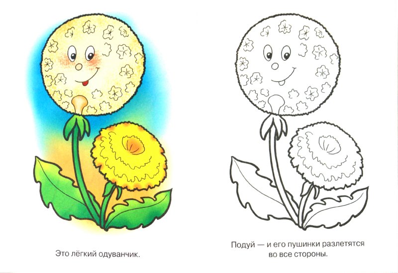 Раскраски цветов для маленьких детей