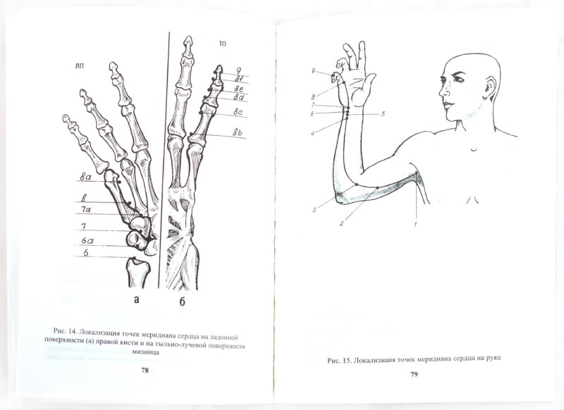 практическое руководство диагностики по фоллю
