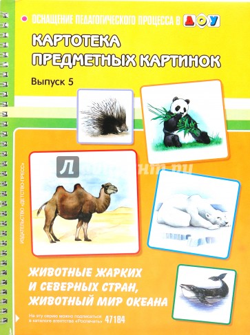 Картотека предметных картинок: Животные жарких и северных стран, животный мир океана