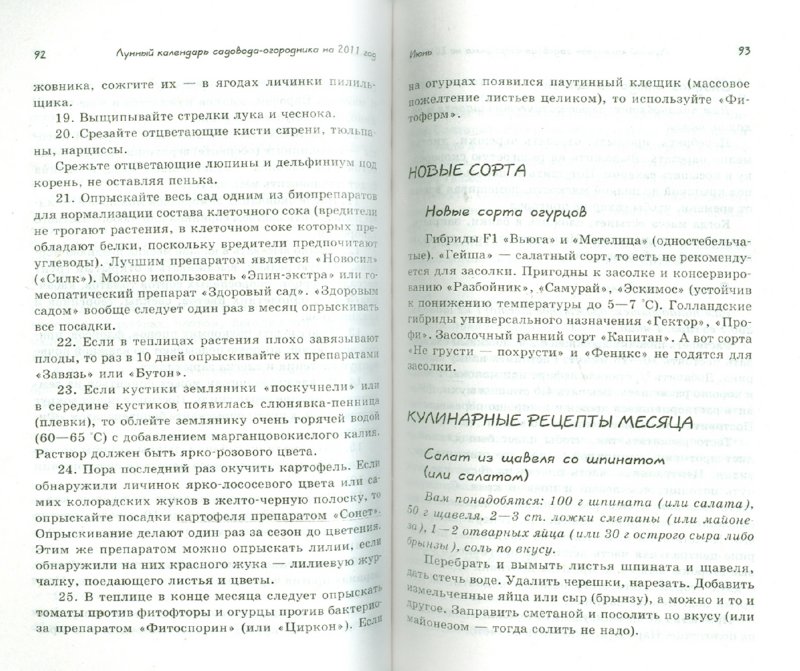 Галины александровны кизима огород без хлопот Галины александровны кизима огород без хлопот
