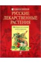 Русские лекарственные растения: 550 сборов для лечения детей и взрослых