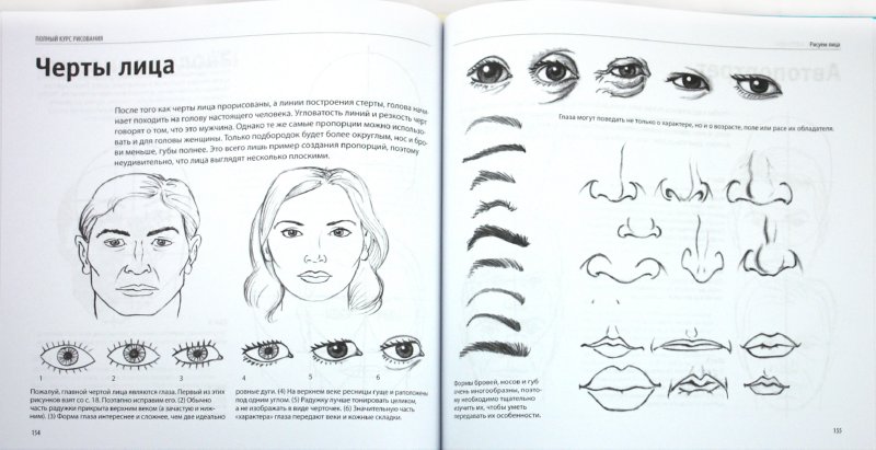 Полный курс рисования. Практическое руководство для начинающих ...