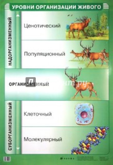 Уровни организации живого
