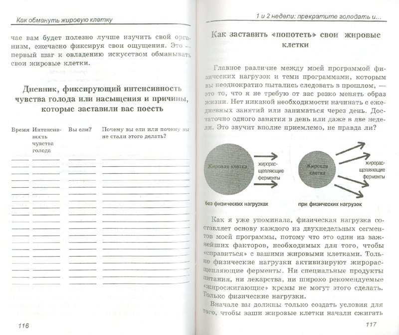 диетолог план питания диетолог план питания