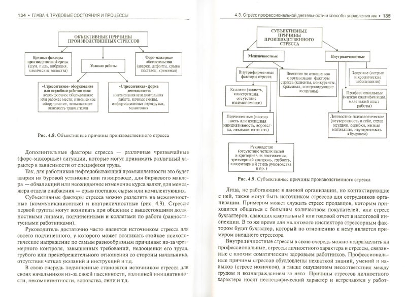 Русская Индия 2010