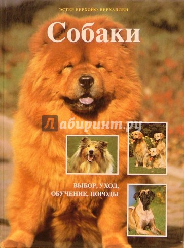 Собаки