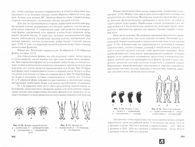 read energy stability and convection