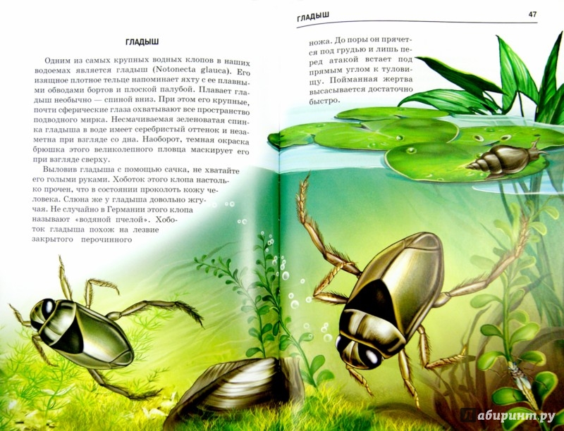 online Semantics: An International Handbook of Natural