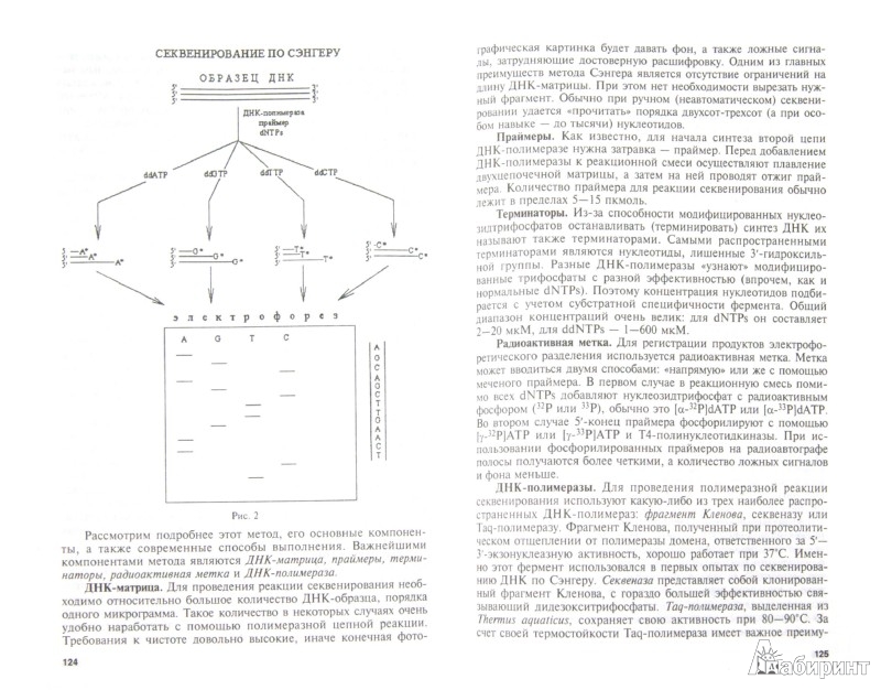 landmarks in organo transition metal