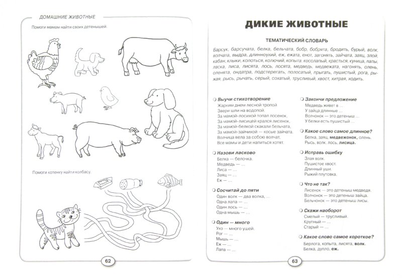 Развитие речи и познавательных способностей дошкольника. 4-5 лет ...