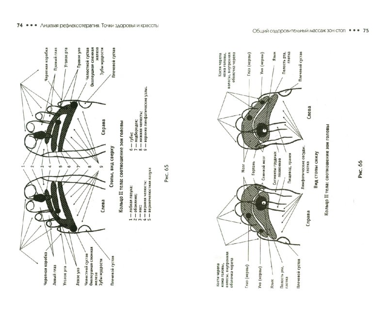 the computer graphics manual volumes