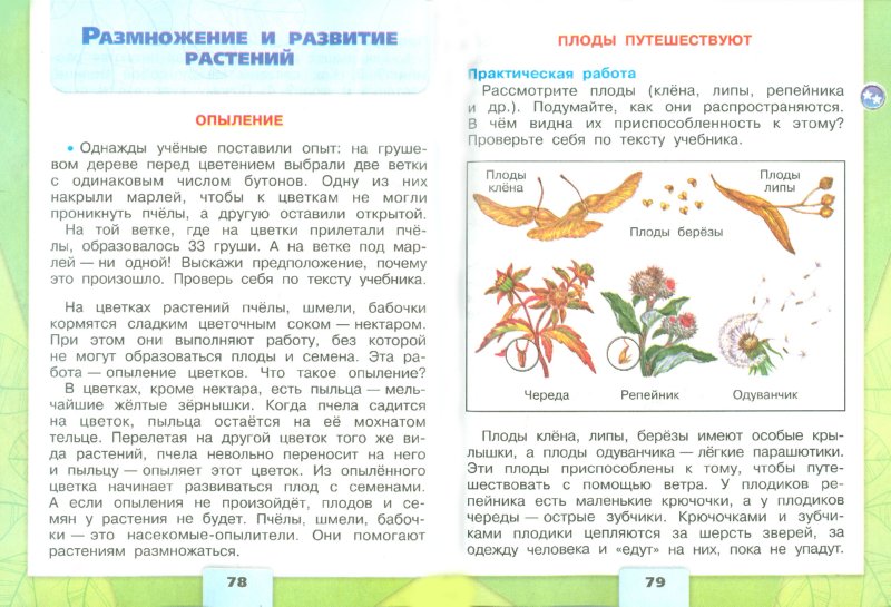 Миром правят те кто читает книги