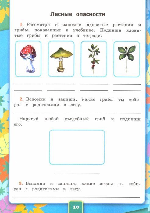 Окружающий мир. 2 класс. Рабочая тетрадь 2. К учебнику А.А. Плешакова ...