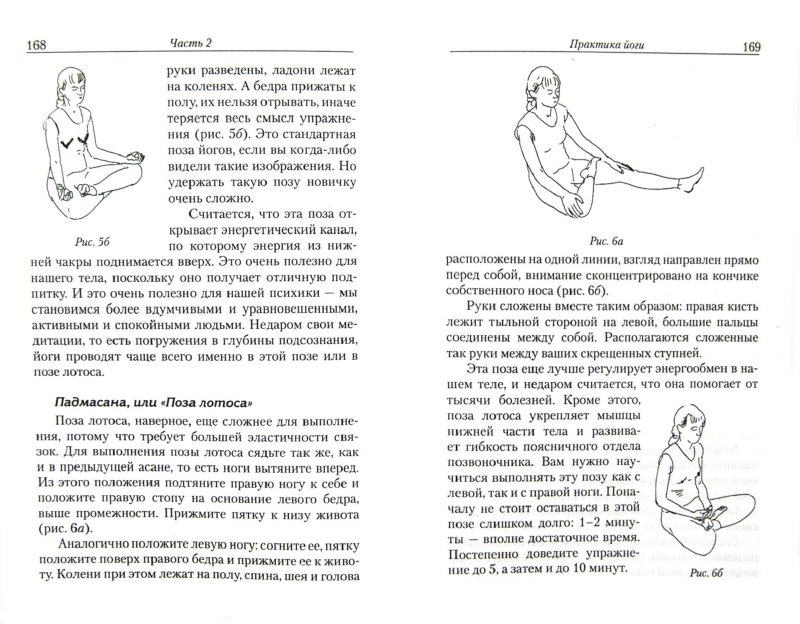 pdf biomat 2010 international