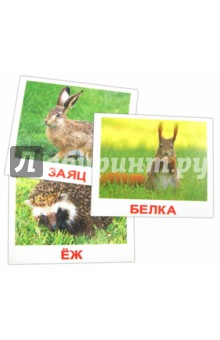 Комплект карточек "Дикие животные" (16, 5 х 19, 5 см)