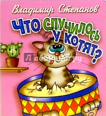 Что случилось у котят?
