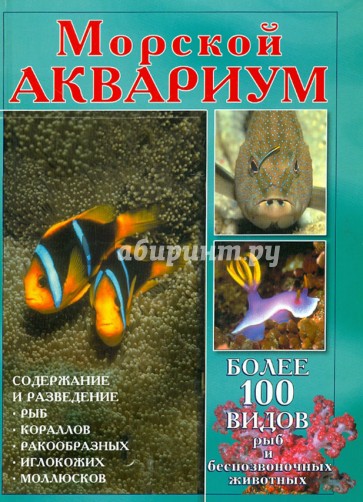 Морской аквариум. Содержание и разведение рыб в морских аквариумах