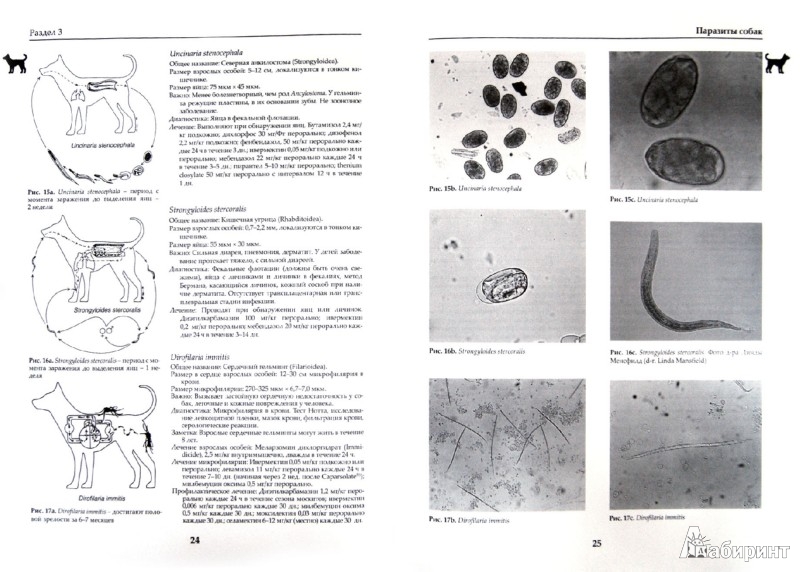 учебник паразитология ветеринарная