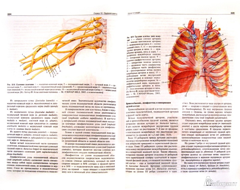 Топографическая