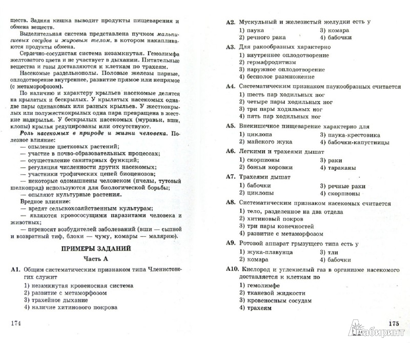 Все Для Подготовки К Егэ скачать - knowledgebackup