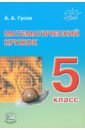 Математический кружок. 5 класс