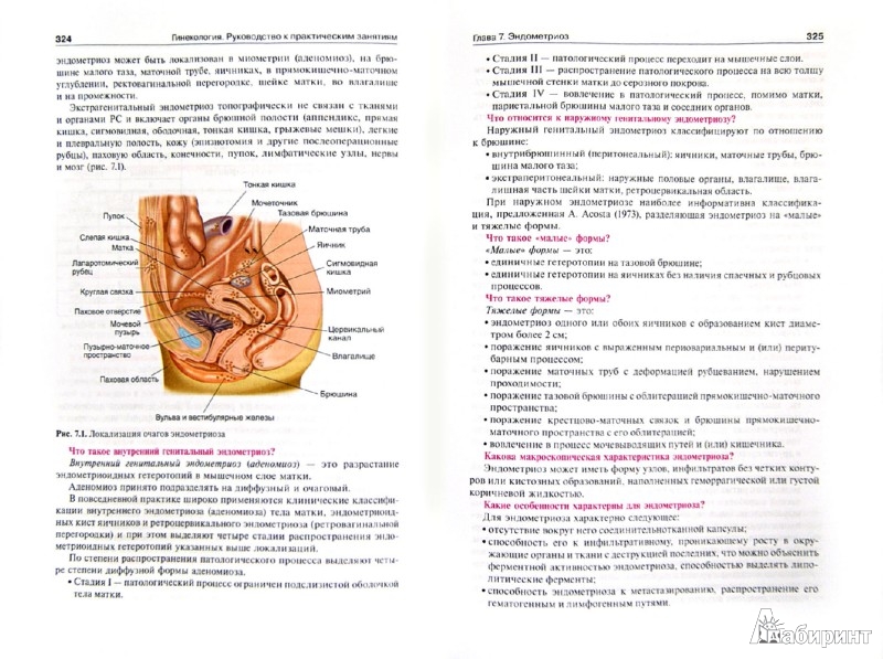 pdf Immunopharmacology of Respiratory