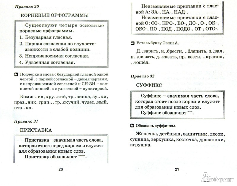 Наблюдение над функционированием правил орфографии и пунктуации в образцах письменных текстов