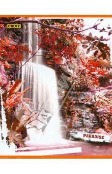     "Proff. Paradise", 48 , 5 (6485135180)