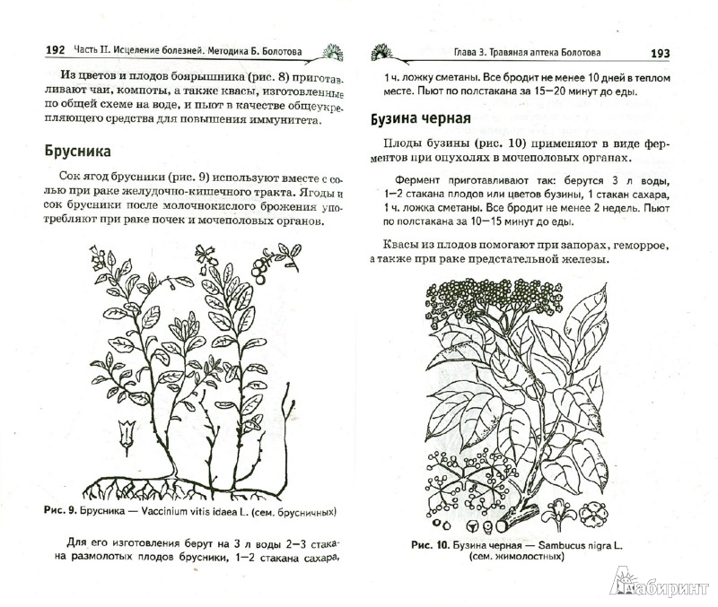 Скачать Болотов Борис Васильевич Книги Fb2 - depositfilesido