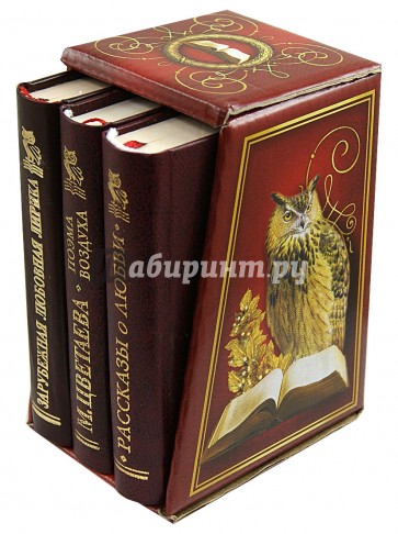 М. Цветаева. Поэма воздуха.Рассказы о любви. Зарубежная любовная лирика